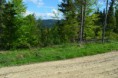 /album/fotogaleria-pozemky/or-lesna-pozemky-20-05-2014-003-jpg1/